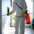 Mold Remediation In Philadelphia: The Essential Step Before Painting Your Home