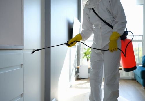 Mold Remediation In Philadelphia: The Essential Step Before Painting Your Home